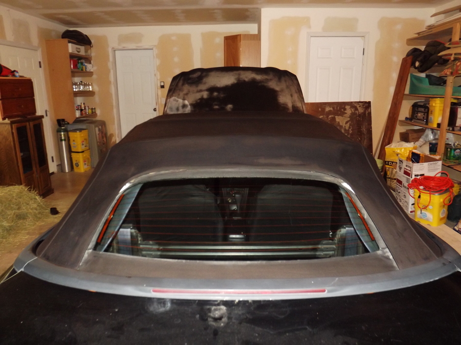 Celica Gt Convertible - Photo 4