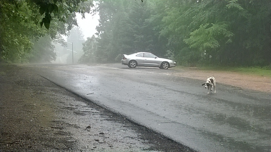 My Project... - Photo 2