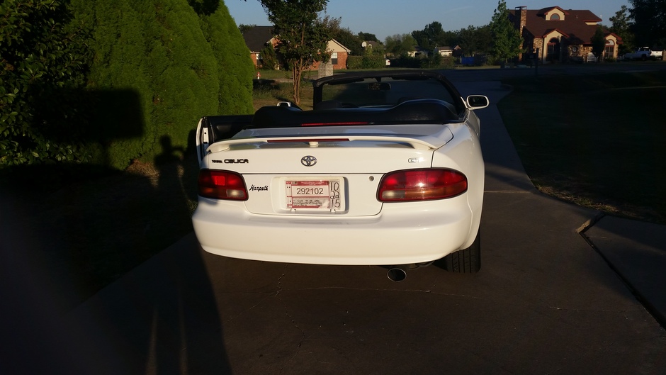 stella the celica - Photo 4