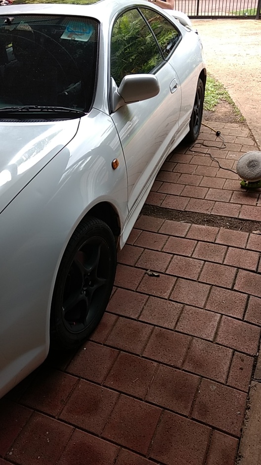 WHITE-RABBIT - Photo 2