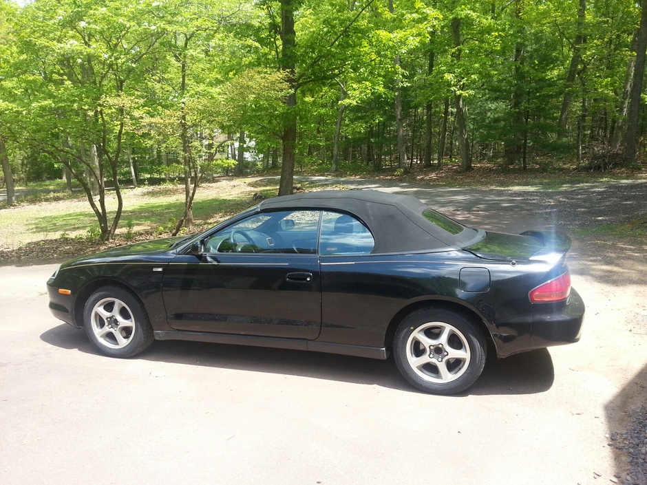 25th anniversary vert