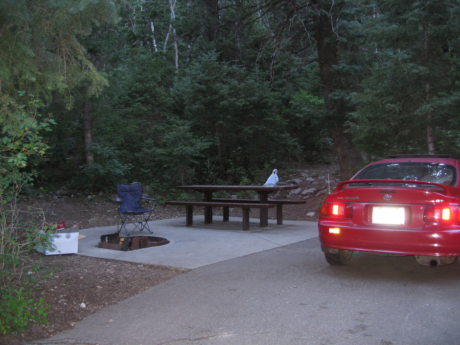 Celia Felicity - Photo 3