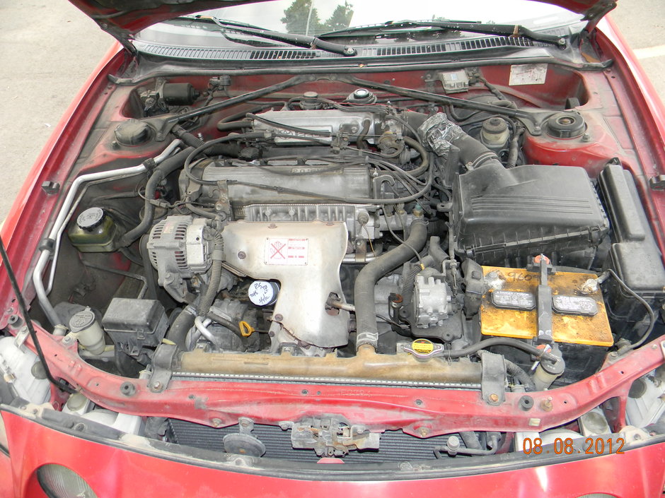 Celia Felicity - Photo 4