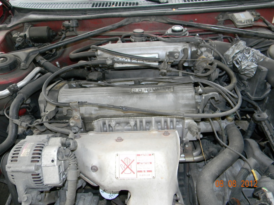 Celia Felicity - Photo 5