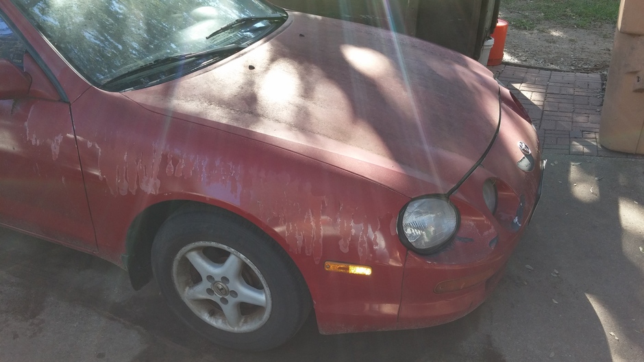 Operation Terd Bucket - Photo 2