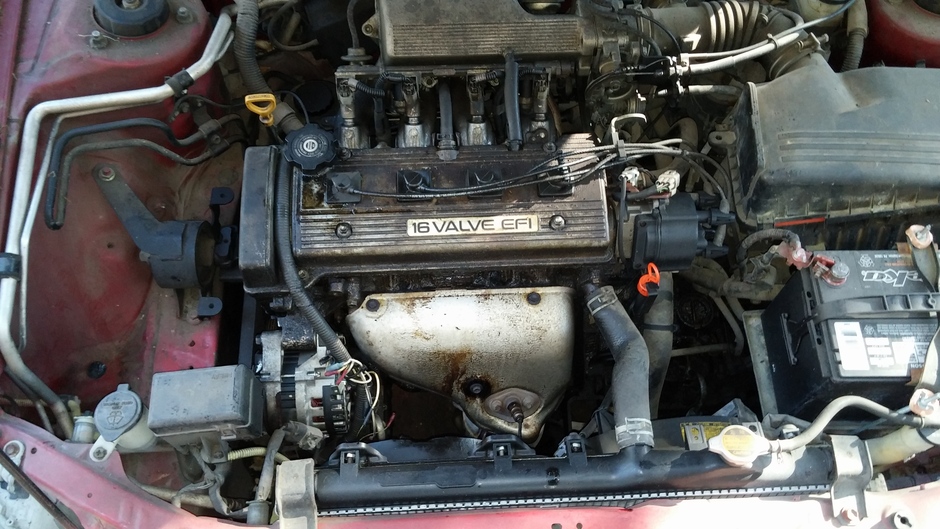 Operation Terd Bucket - Photo 9