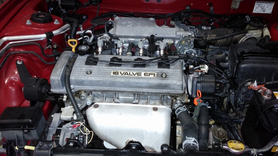 Operation Terd Bucket - Photo 10