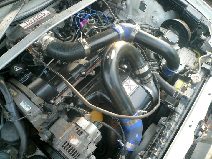 Snappingturtle - Photo 2