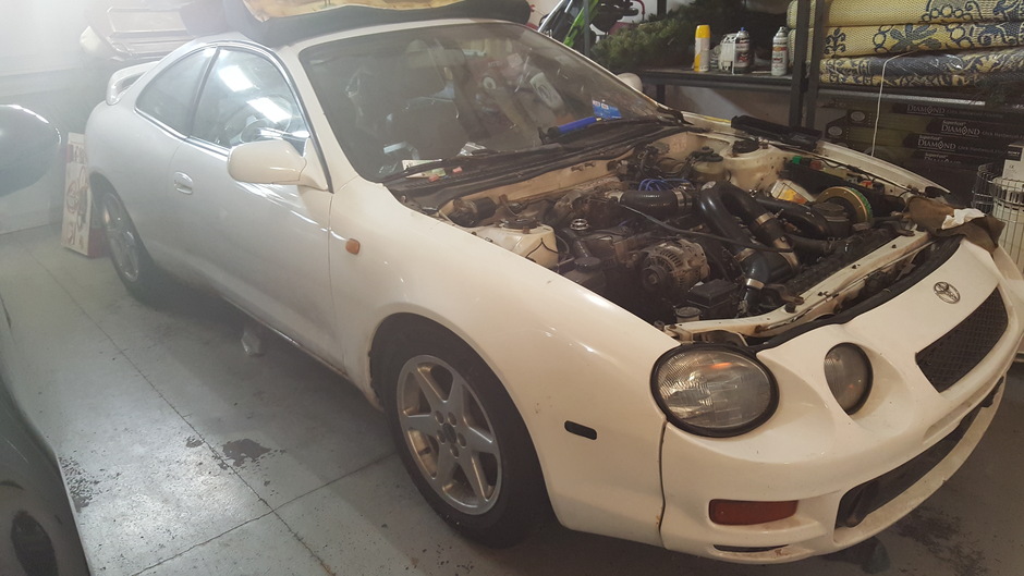 Snappingturtle - Photo 6